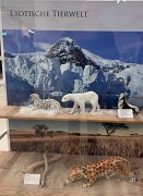 2025-10-04 09-49-32_Original